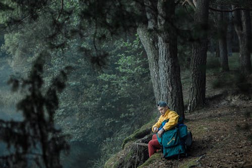 Imagine de stoc gratuită din arbori, aventură, excursionist