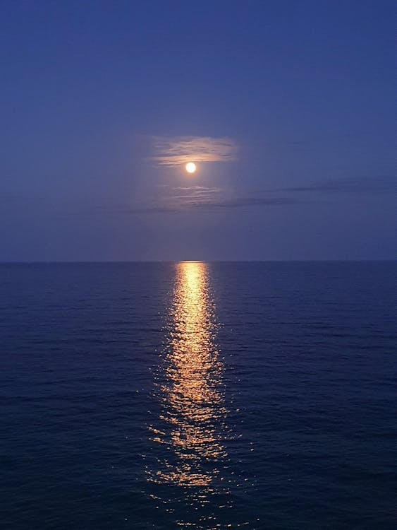Free Moon Light Reflection on Sea Stock Photo
