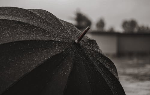 Kostnadsfri bild av närbild, paraply, regn