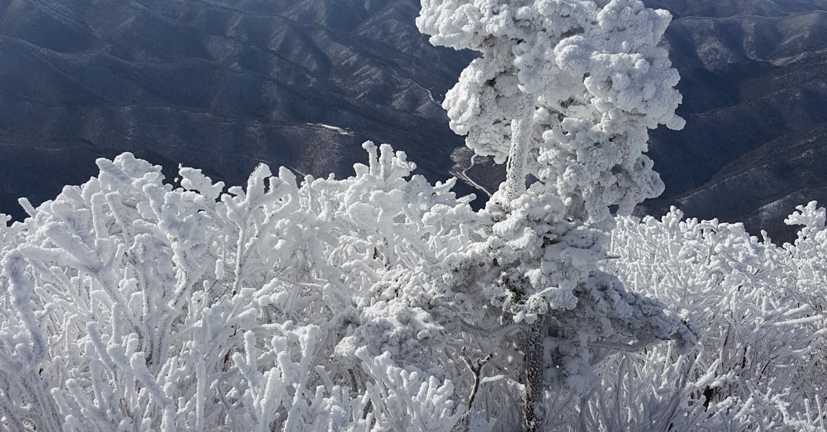 Free stock photo of #korea, #mountain, #taebaeksan