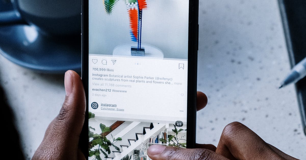 How to see liked posts on Instagram desktop