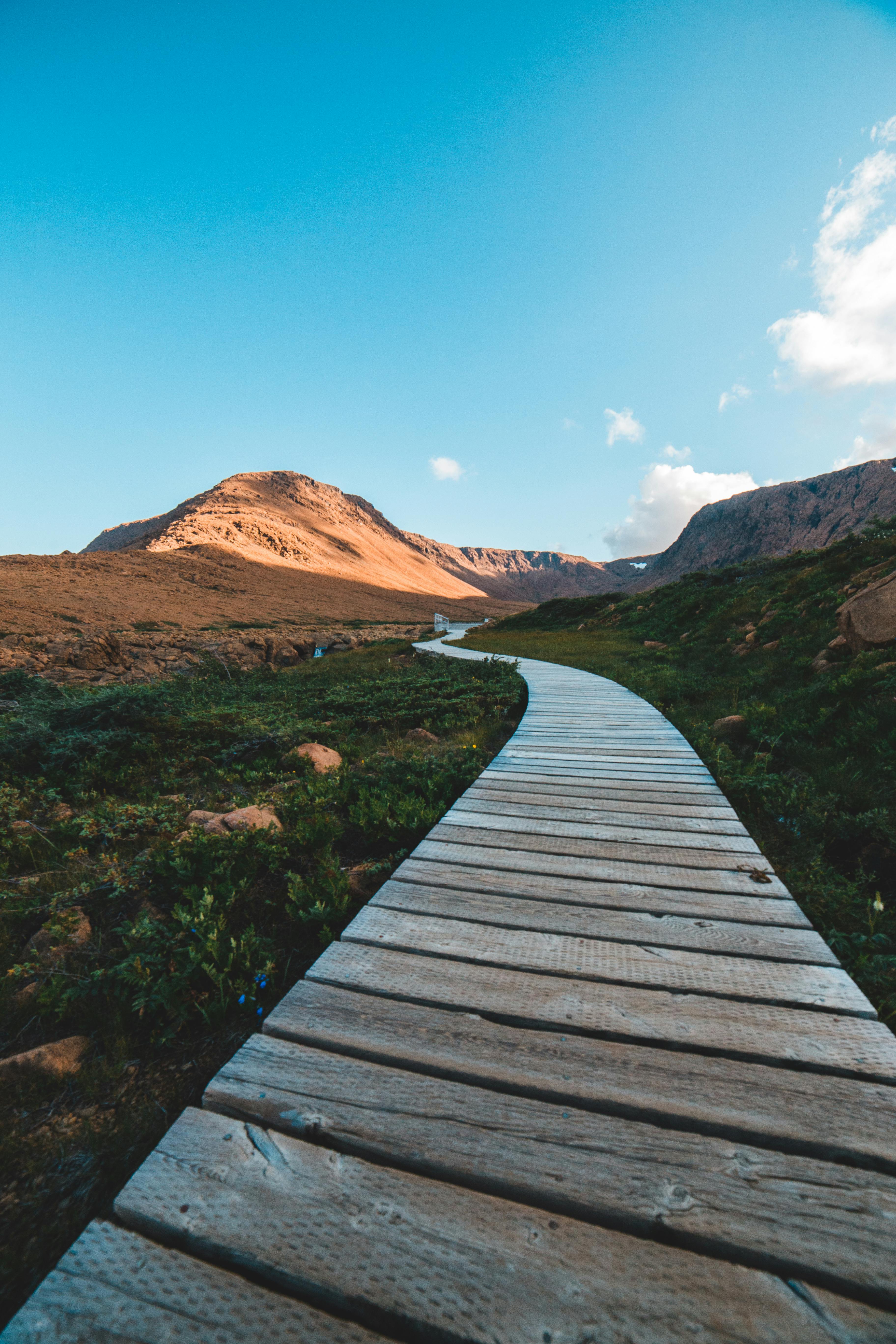 walkway between grassy terrain