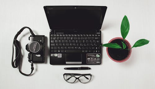 Free Black Laptop Black Camera and Plant Near Each Other on White Tile Stock Photo