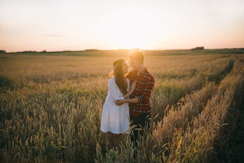 日落時分在綠草地上接吻的情侶