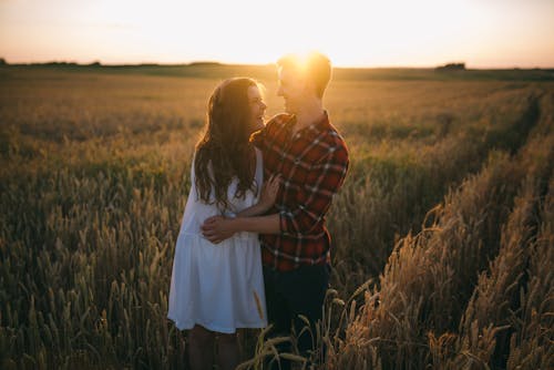 免費 男人和女人在日落時分在綠草地上接吻 圖庫相片