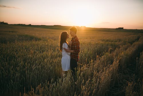 Homem E Mulher Se Beijando No Campo De Grama Verde Durante O Pôr Do Sol