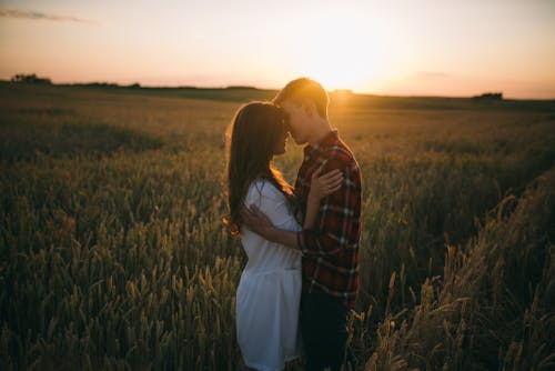 Homem E Mulher Se Beijando No Campo De Grama Verde Durante O Pôr Do Sol