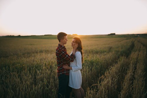 Yeşil çim Sahada Günbatımı Sırasında öpüşme Kadın Ve Erkek