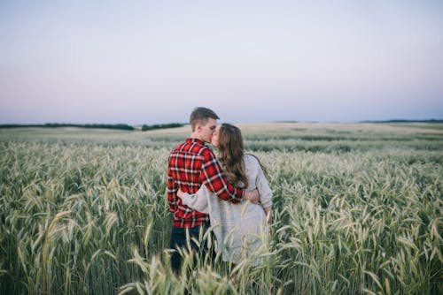 A Couple Sharing a Kiss in the Field