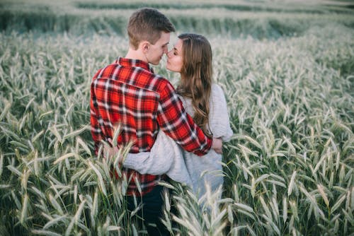 Pria Dan Wanita Berciuman Di Lapangan Rumput Hijau