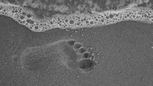 Free A solitary footprint on a sandy beach with ocean waves in black and white. Stock Photo