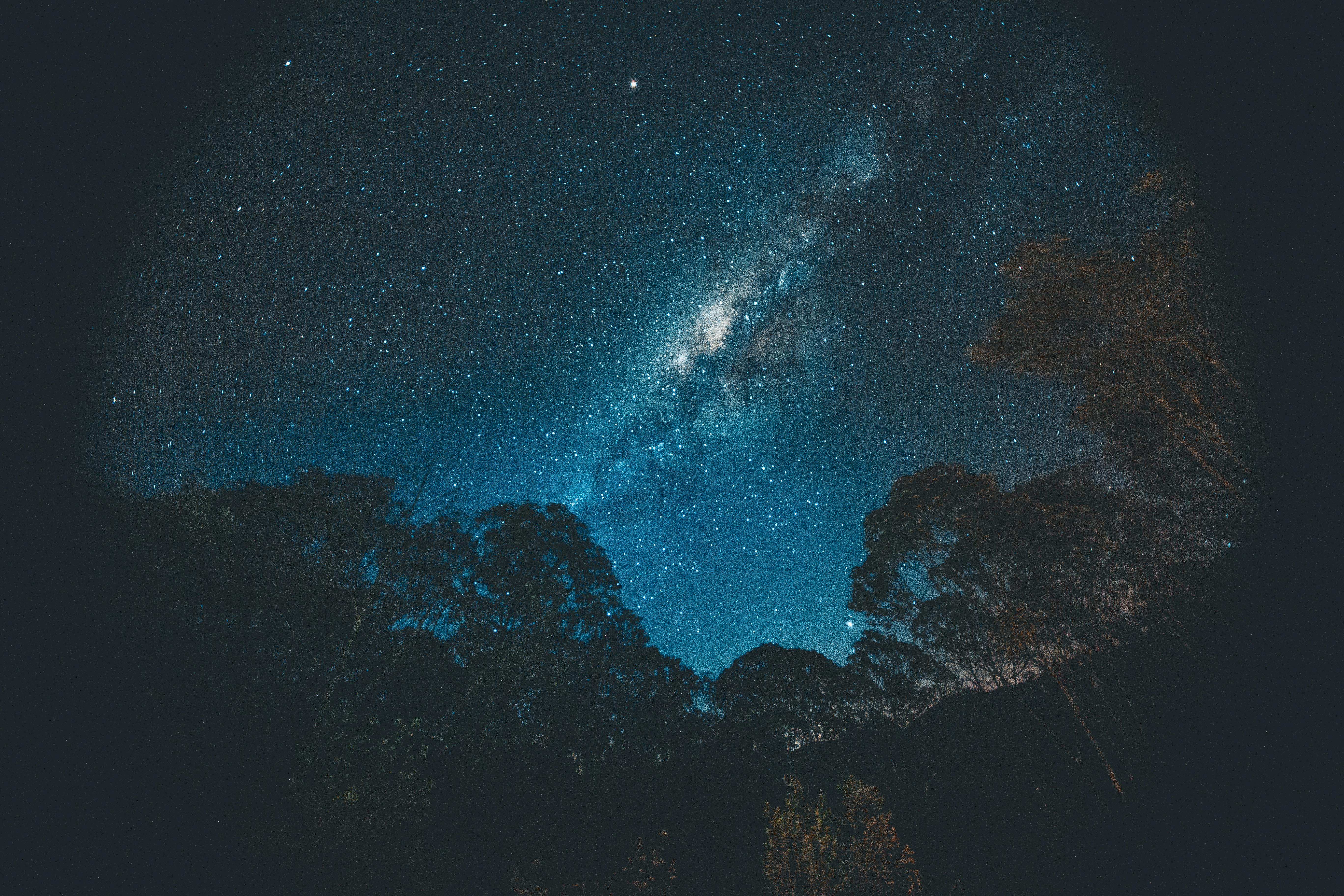 A breathtaking view of the starry night sky and the Milky Way above a serene forest setting.