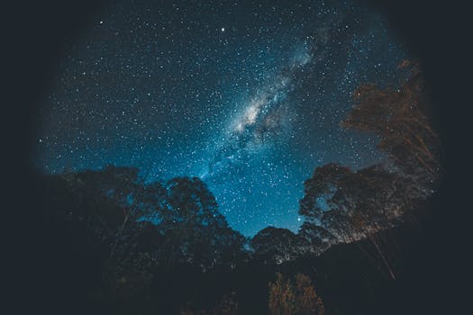 在宁静的森林背景上，呈现出星空和银河系的壮丽景色