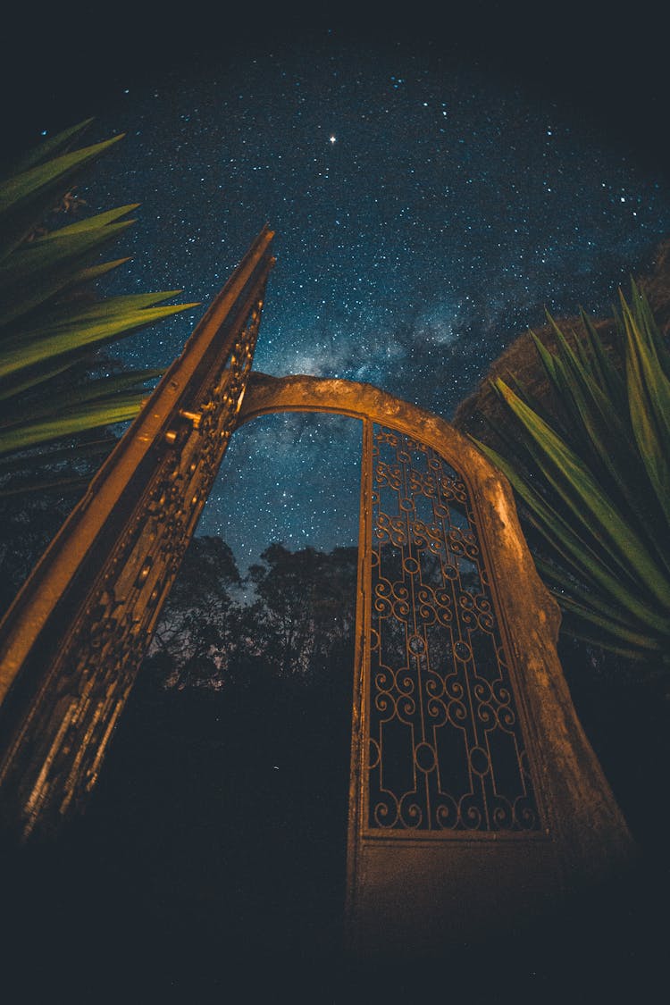 Golden Gate Between Plants Under Night Sky With Glowing Stars