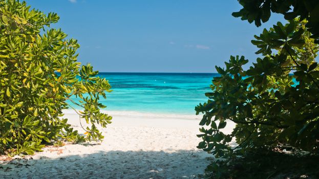 Serene beach scene with turquoise water and lush greenery, perfect for summer vibes.