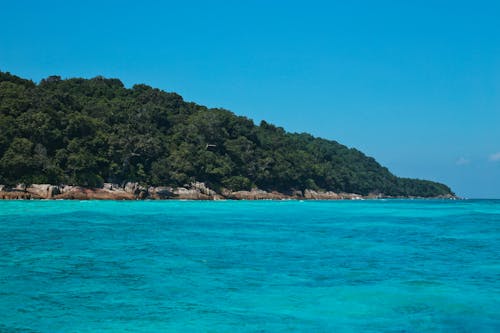 Green Trees on Island