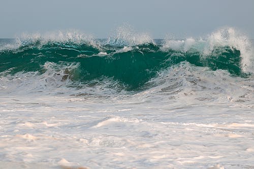 Free stock photo of big waves, crashing waves, green Stock Photo