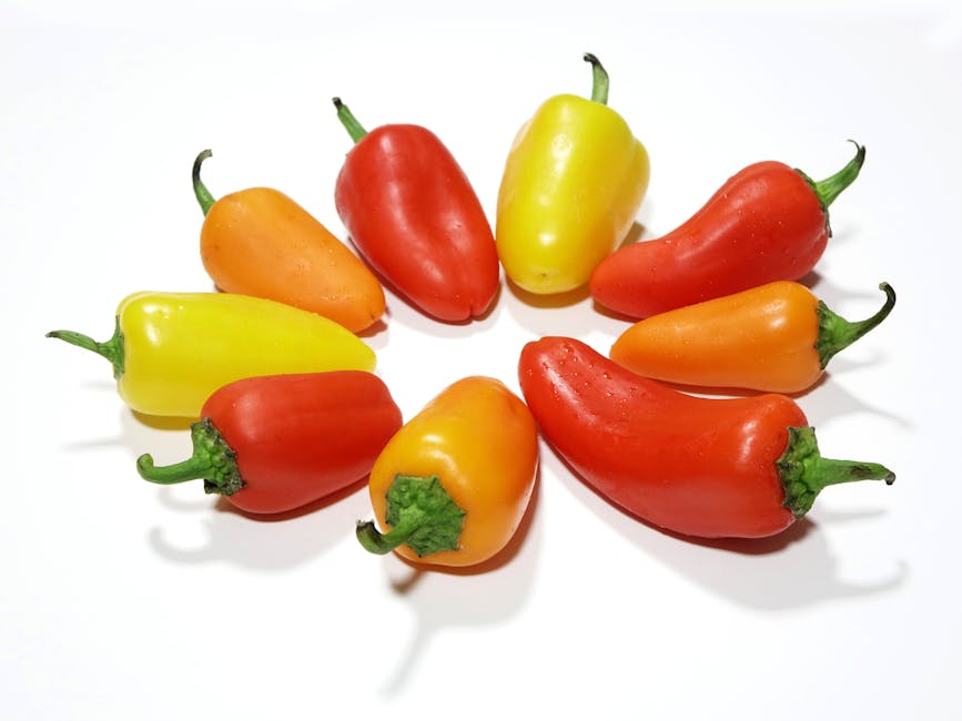 BEST FOODS TO WEIGHT LOSE-HOW TO LOSE WEIGHT BEST FOODS TO WEIGHT LOSE-HOW TO LOSE WEIGHT