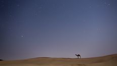 杰萨尔默沙漠的星空下，骆驼的剪影风景如画