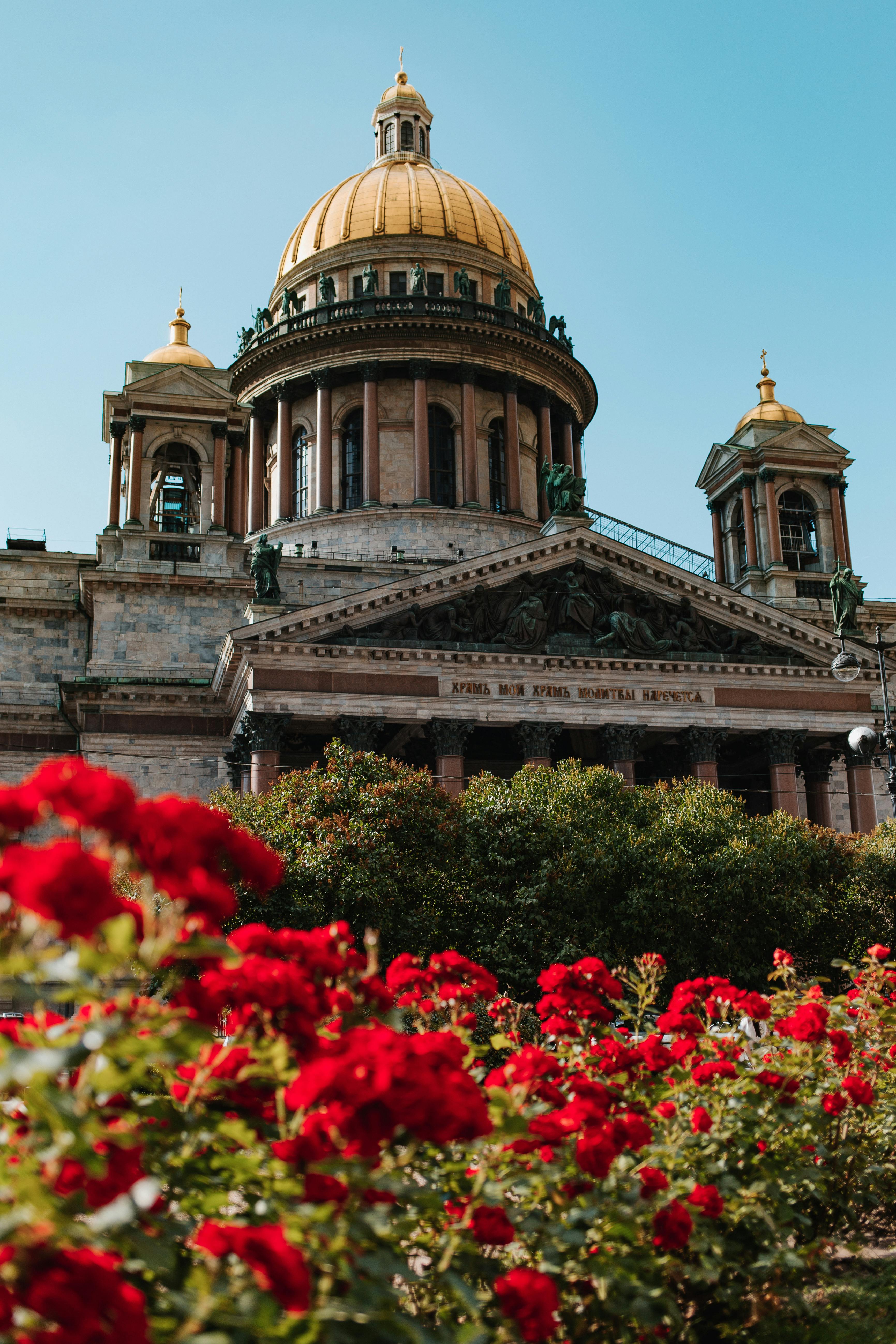 garden plants beside a cathedral