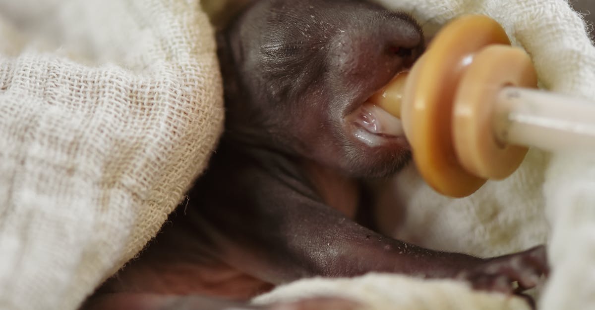 更生80 溫暖有感 以愛復歸 國際學術研討會 聚焦美日經驗交流