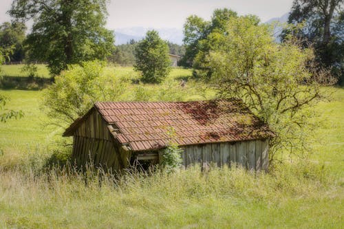 Základová fotografie zdarma na téma dřevěný dům, hřiště, opuštěný