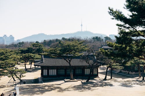 경복궁, 공원, 궁전의 무료 스톡 사진