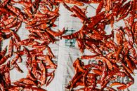 Red and White Chili Peppers