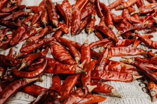 Free Dried Chili Pepper  Stock Photo