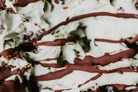 Close-up on Dried Chocolate Drizzle on Ice Cream