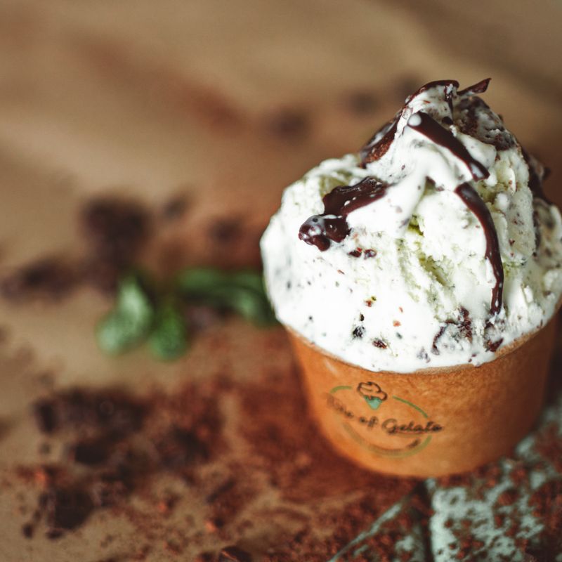 Mint Chocolate Chip Ice Cream with Fresh Mint