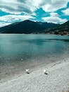 Seagulls standing on tranquil seashore in highlands