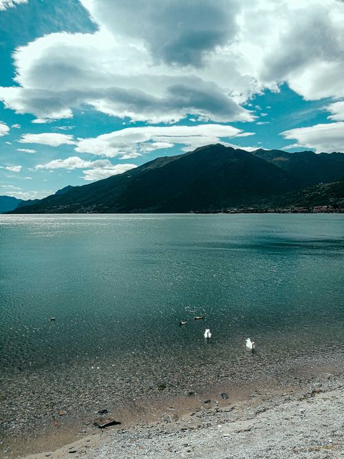 Free Scenery of blue lagoon rippling near mountainous coast and sandy beach with white seagulls under blue sky Stock Photo