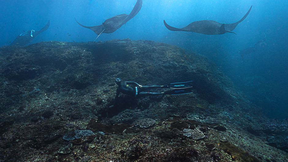 dive schools bali