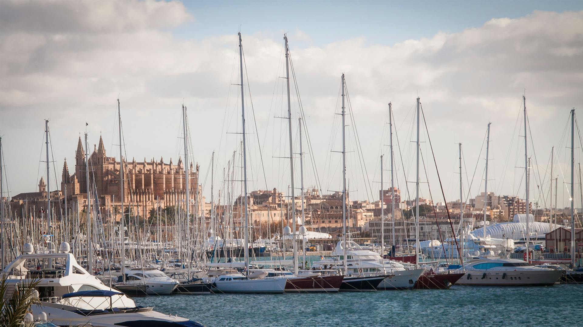 Scenic view of Palma's marina with yachts and the Cathedral in the background.