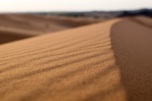 Foto profissional grátis de areia, concentração, deserto