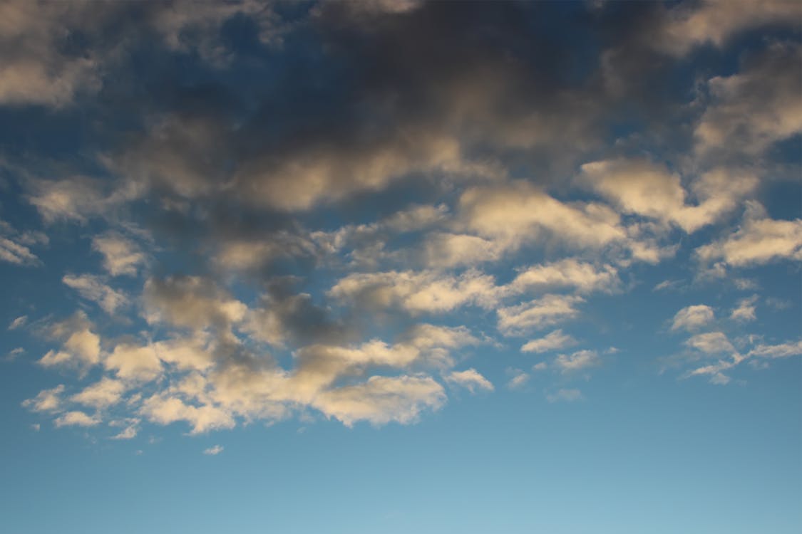 Foto stok gratis awan putih, bengkak, bentangan awan