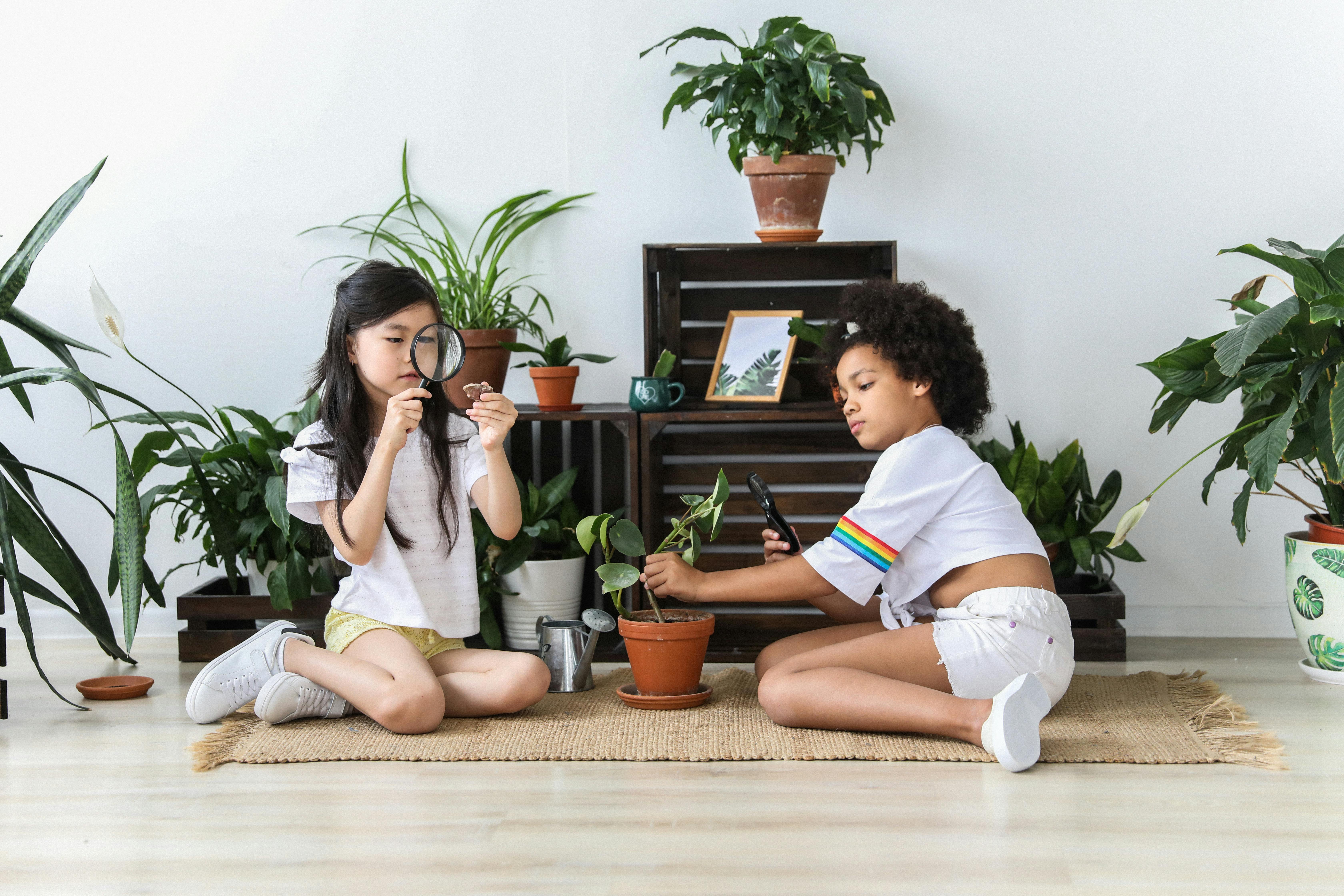 multiracial curious girls exploring green plants