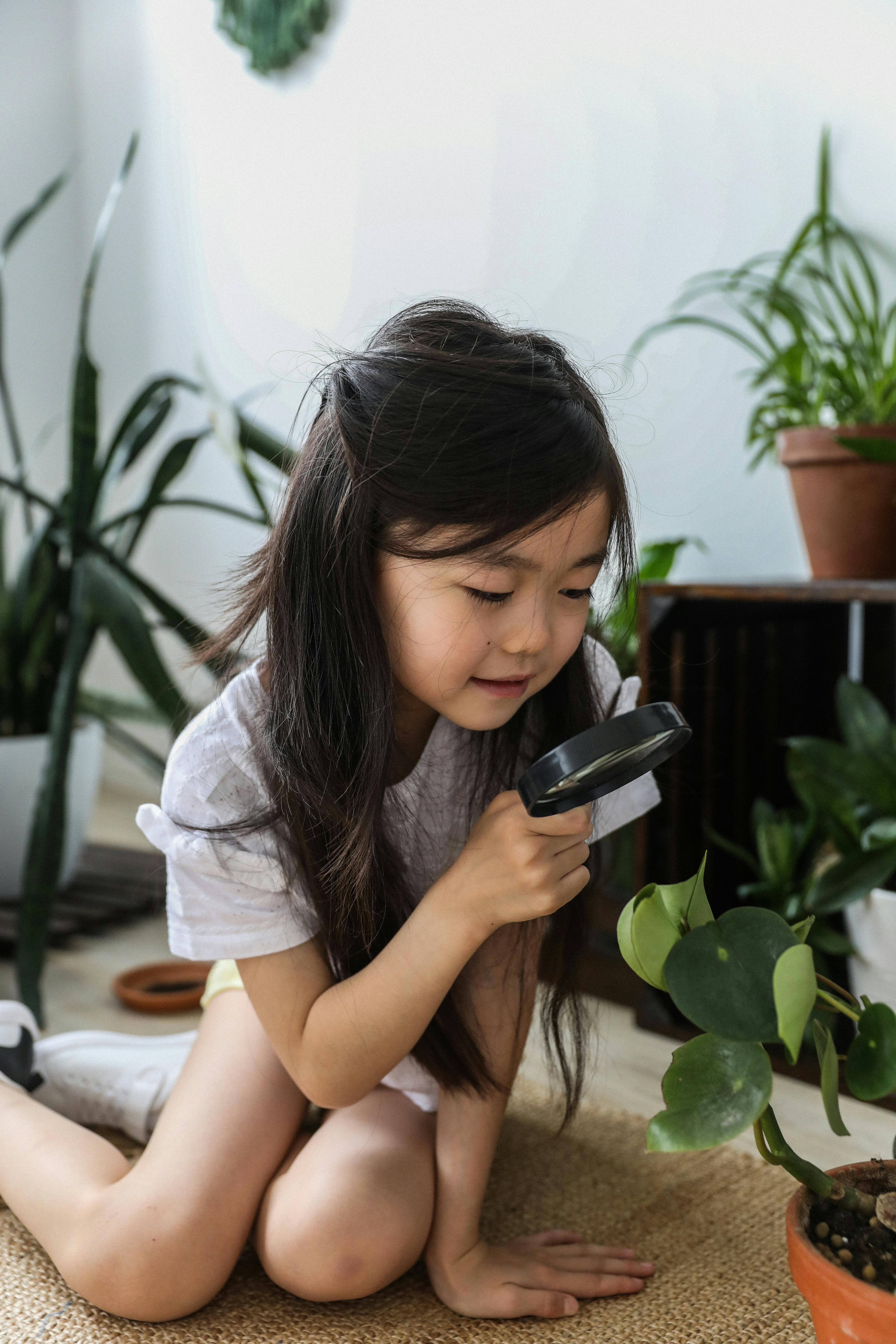 adorable little asian girl examining potted plant