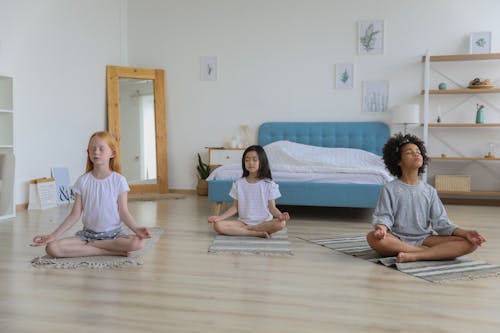 Odaklanmış çok ırklı Arkadaşlar Odada Meditasyon Yapıyor