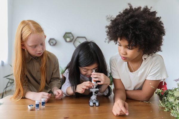 Understanding Common Core Standards: What Parents Need to Know
