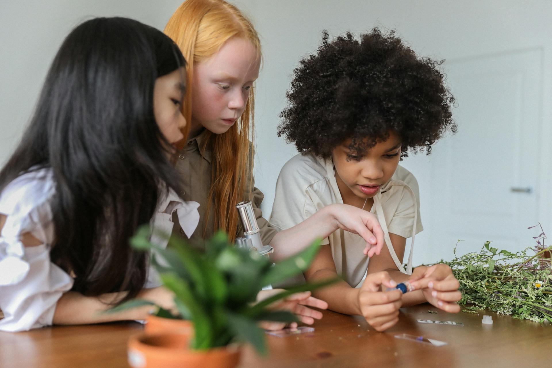 Concentrated multiracial children discussing while watching samples in microscope in room with plants