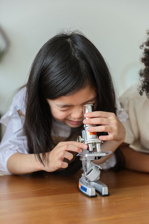 Free Cute little Asian girl with long dark hair making experiment with microscope while sitting at wooden table in classroom Stock Photo