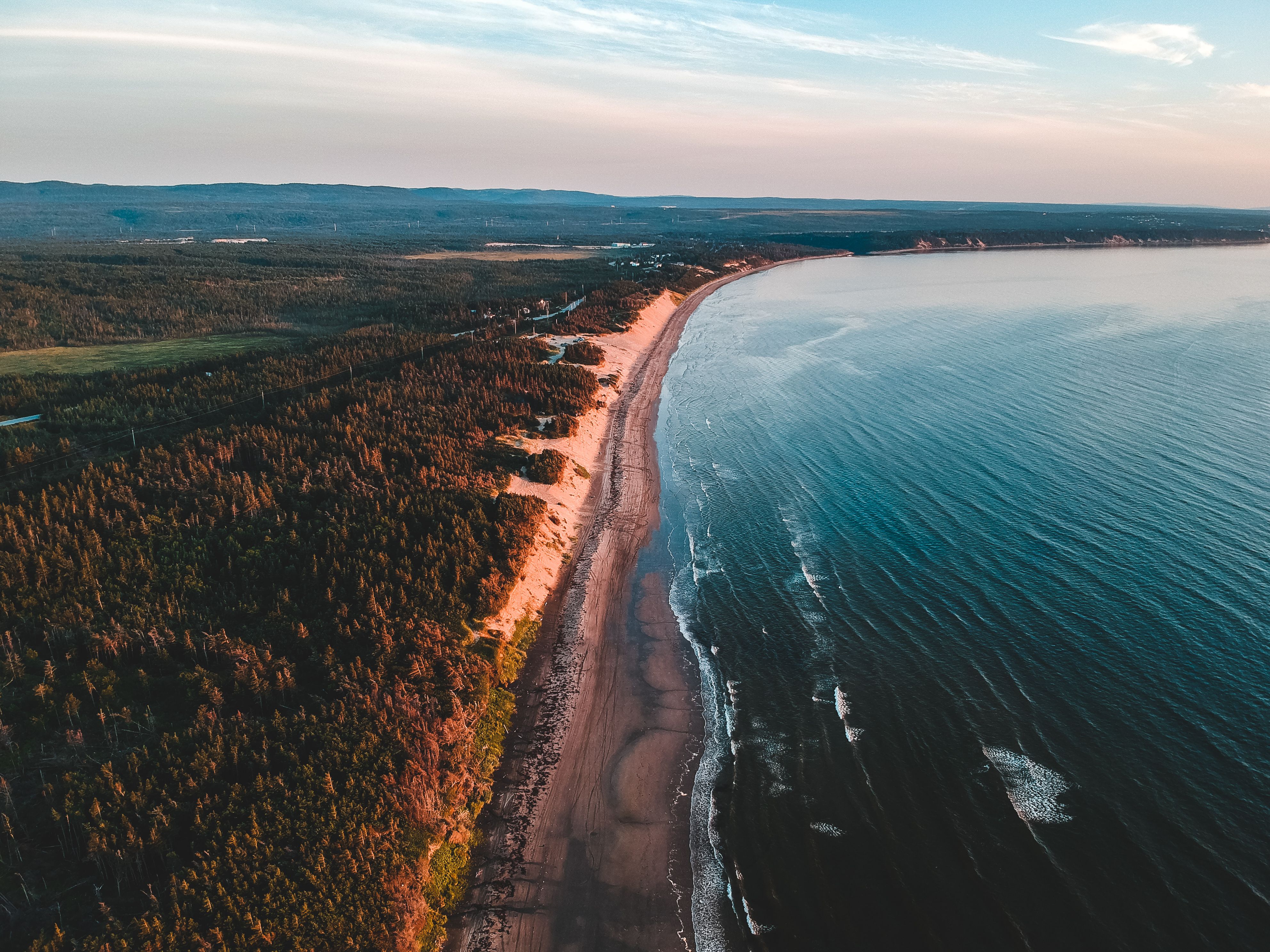 Sandy coastline covered with green trees located near calm sea against cloudy sky in nature in summer evening in tropical country