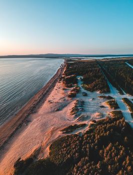 Drone view of lush dark green artificial woodland next to sandy beige shoreline of big silent reservoir and mountain range on horizon under wonderful light blue pink cloudless sky