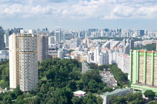 High Rise Buildings Near Green Trees Under White Clouds