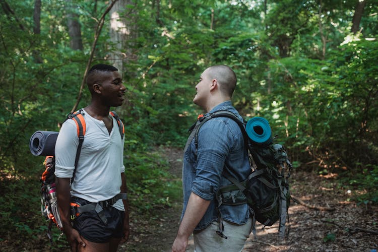 Diverse Men With Backpacks Talking In Forest