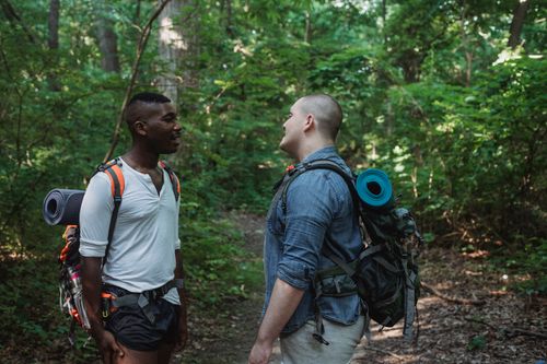 Free Side view of multiethnic people discussing direction of travelers while trekking among green trees and bushes with lush foliage Stock Photo