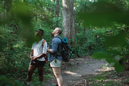 背着各式背包的人们欣赏着绿叶掩映的宁静树木，而他们站在柔和的焦点上