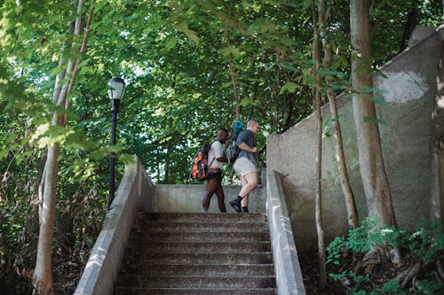 Amigos Con Mochilas Subiendo Las Escaleras En El Parque